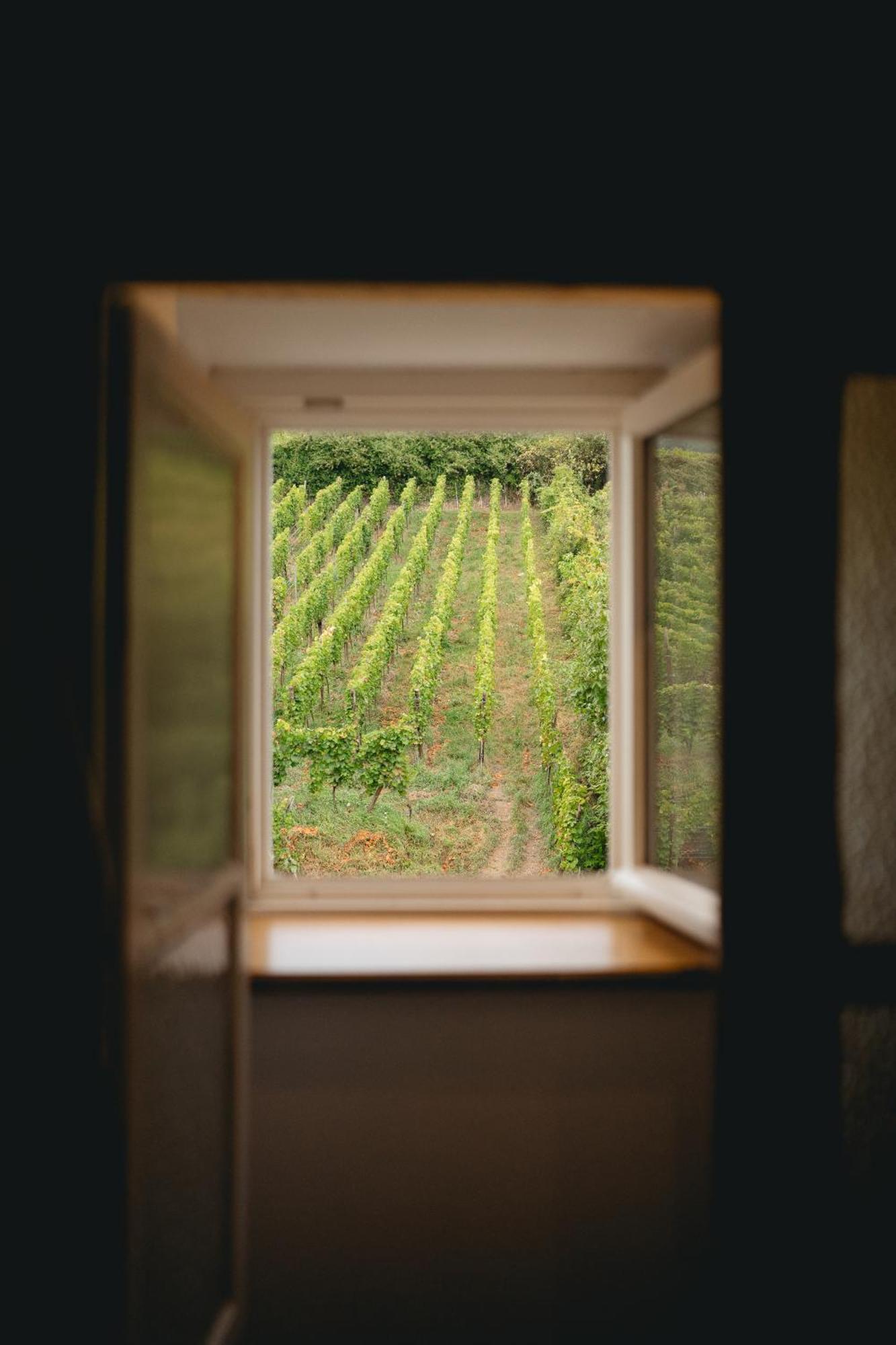Maison Rebleuthof Sauna & Fitness リクヴィール エクステリア 写真